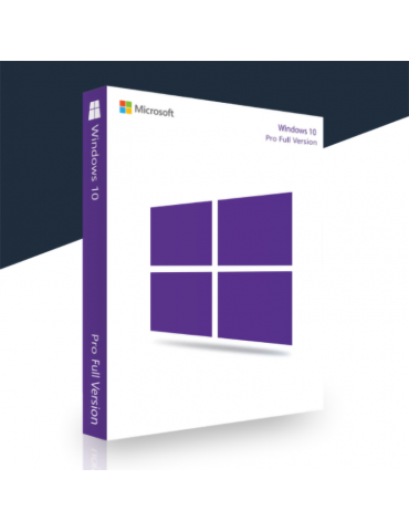 Microsoft Windows 10 Professional 1 PC